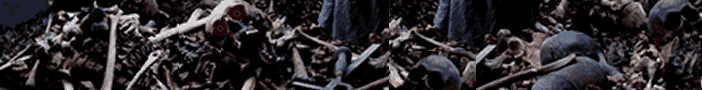 www.wizard.bg