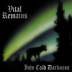 VITAL REMAINS - INTO COLD DARKNESS RE-ISSUE VINYL (LP)