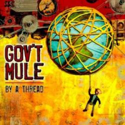 GOVT MULE [WARREN HAYNES] - BY A THREAD (CD)