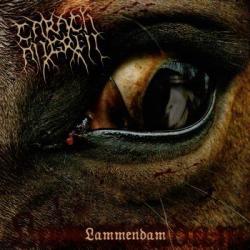 CARACH ANGREN - LAMMENDAM RE-ISSUE (CD)
