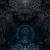 PARAGON OF DISSONANCE (2CD)