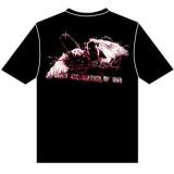 GRAND DECLARATION (TS)