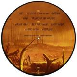 I WORSHIP CHAOS PICTURE VINYL (PIC LP)