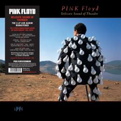 PINK FLOYD - DELICATE SOUND OF THUNDER VINYL RE-ISSUE (2LP)