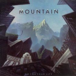 MOUNTAIN [LESLIE WEST] - GO FOR YOUR LIFE VINYL RE-ISSUE (LP BLACK)