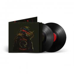 QUEENS OF THE STONE AGE - IN TIMES NEW ROMAN VINYL (2LP)