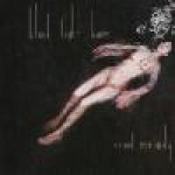 BLACK LIGHT BURNS [LIMP BIZKIT] - CRUEL MELODY  LTD. EDIT. (CD+DVD DIGI)