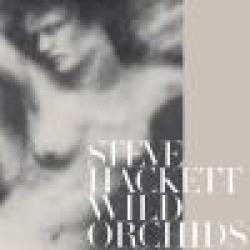 STEVE HACKETT - WILD ORCHIDS (CD)
