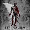OPHIDIAN WHEEL REISSUE (CD)
