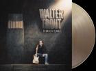 SIGN OF THE TIMES COLOURED VINYL (LP)