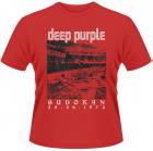 BUDOKAN 1973 (TS)
