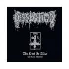 THE PAST IS ALIVE/ THE EARLY MISCHIEF (DIGI)