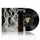 DISSONANCE THEORY VINYL (LP BLACK)