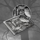 AS YGGDRASIL TREMBLES REISSUE (CD)