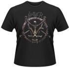 DIVINE INTERVENTION (TS)