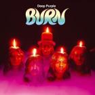 BURN VINYL REISSUE (LP)