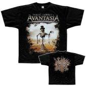 THE SCARECROW (TS)