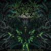 BEFORE THE THRONE OF INFECTION (DIGI)