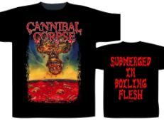 BOILING FLESH (TS)