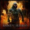 INDESTRUCTIBLE (CD)