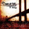 A CONSEQUENCE OF DESIGN (CD)