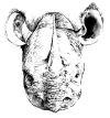 SILENCE FOLLOWED BY A DEAFENING ROAR (CD)