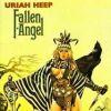 FALLEN ANGEL DELUXE EDIT. (CD)
