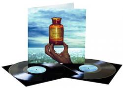 V VINYL (HQ 2LP+DOWNLOAD)