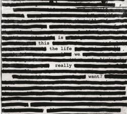 IS THIS THE LIFE WE REALLY WANT? VINYL (2LP)