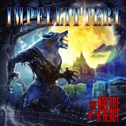 THE NATURE OF THE BEAST VINYL (LP BLACK)