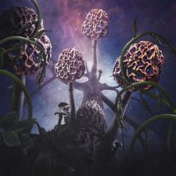 HALLUCINOGEN (DIGI)