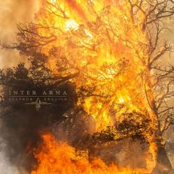 SULPHUR ENGLISH (CD US-IMPORT)