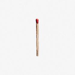RAMMSTEIN (DIGI)