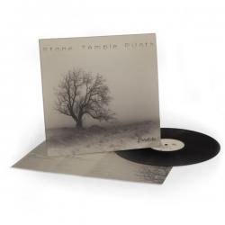 PERDIDA VINYL (LP BLACK)