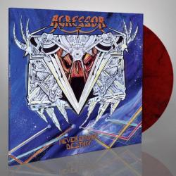 NEVERENDING DESTINY VINYL REISSUE (LP)