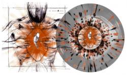 ECHO VINYL (LP)