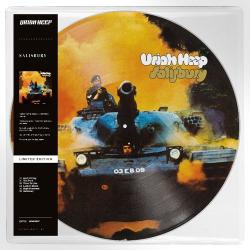 SALISBURY PICTURE VINYL REISSUE (LP PIC)