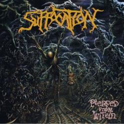 PIERCED FROM WITHIN REISSUE (DIGI)
