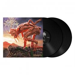 TERRASITE VINYL (2LP BLACK)