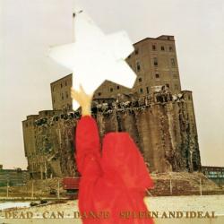 SPLEEN AND IDEAL VINYL REISSUE (LP BLACK)