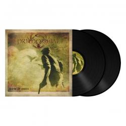 HOW IT ENDS  VINYL (2LP BLACK)