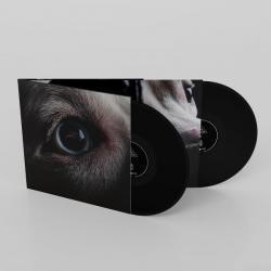 DARK SIDE OF THE MOON REDUX VINYL (2LP)