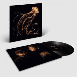 BACK TO THE WATER BELOW VINYL (LP)