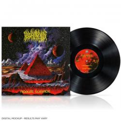 ABSOLUTE ELSEWHERE VINYL (LP BLACK)