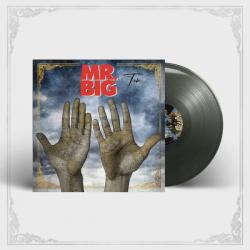 TEN OPAQUE VINYL (LP)
