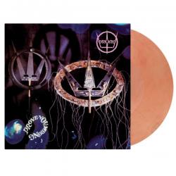PROVE YOU WRONG CRYSTAL CLEAR/ RED MARBLED VINYL (LP)