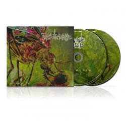 MOSQUITO REISSUE 2024 (2CD DIGI)