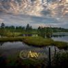 ARV (CD)