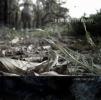 ... ONE DAY LESS (CD)