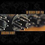 CALCULATING INFINITY (CD)